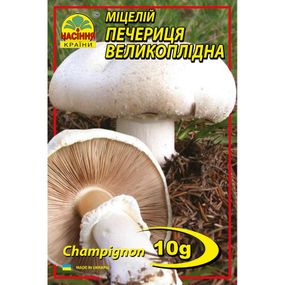 Печериця великоплідна 10 г