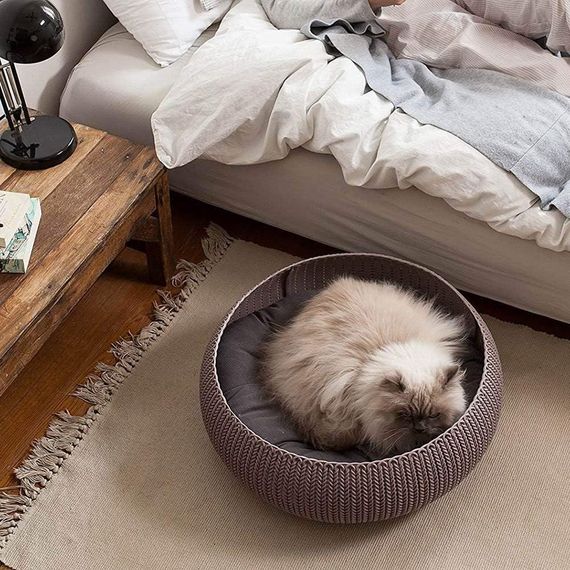 Лежак для животных Curver Cozy Pet Bed 17202851, пластиковый, с подушкой, коричневый | Зображення 5