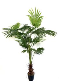 Пальма Ливистона искусственная 180 см в горшке