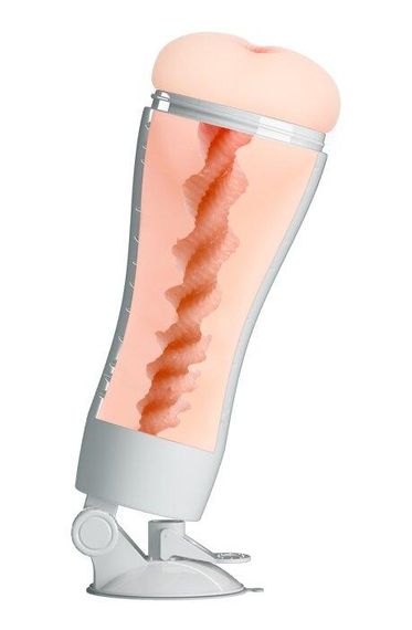 Мастурбатор анус CRAZY Bull-Flora, BM-00900T48N-1 Sex Aura | Зображення 3