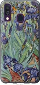 Чехол на Samsung Galaxy A40 2019 A405F Винсент Ван Гог. Ирисы из пластика FCh_065729