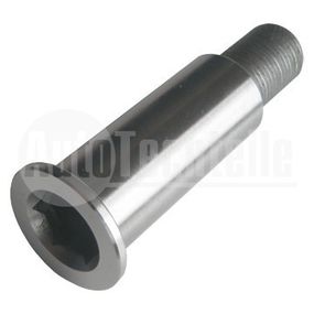 Палец натяжителя ремня Mercedes Benz Sprinter OM601/602 / W638 OM601, AutoTechteile, 100 2001, 99MR40