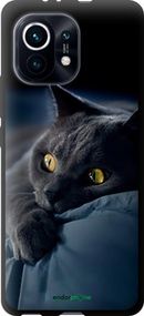 Чохол на Xiaomi Mi 11 Димчастий кіт "825b-2253-2448"