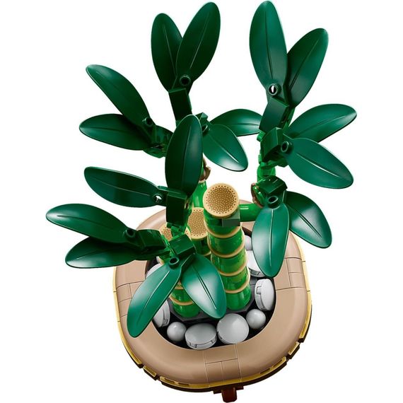 Конструктор LEGO Botanicals Бамбук щастя (10344) | Зображення 2