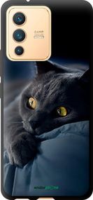Чохол на Vivo V23 Димчастий кіт "825b-2642-2448"