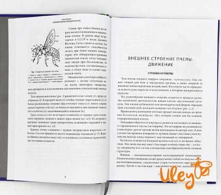 Книга "Анатомія і фізіологія медоносних бджіл", Георгій Таранов | Зображення 1