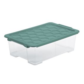 Контейнер для хранения пластиковый с крышкой Rotho (Рото) EVO SAFE 30 л (10080)