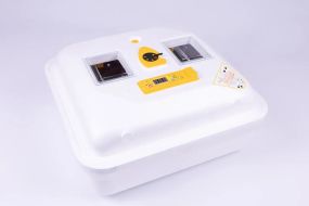 Инкубатор автоматический Теплуша Greeny 88 ТА Тэновый