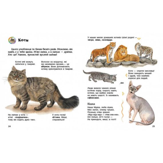 Енциклопедія дошкільника Домашні тварини 614029 для найменших | Зображення 1