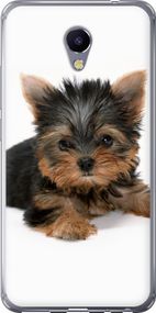 Чехол на Meizu M5 Note Щенок йоркширского терьера "931u-447-17620"