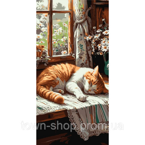 Картина по номерам "Рыжий котик" LW5163, 40х80 см