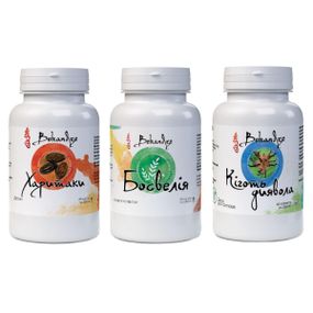 Комплекс для суглобів Bekandze Харитаки + Босвелія + Кіготь Диявола 60+60+60 Caps