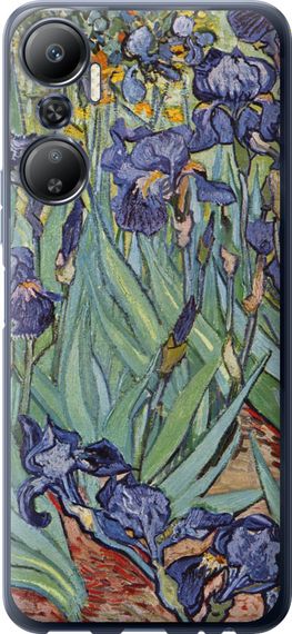 Чехол на Infinix Hot 20 Винсент Ван Гог. Ирисы "161u-2966-17620"