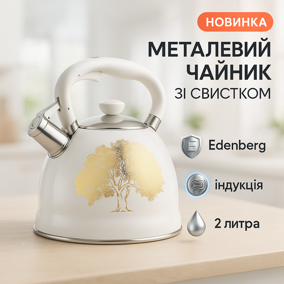 Чайник на плиту для кухни, Чайники со свистком наплитные, Кухонный чайник газовый RC-87
