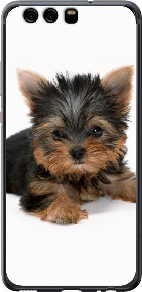 Чехол на Huawei P10 Щенок йоркширского терьера "931u-780-17620"