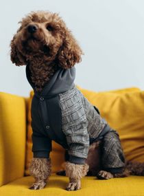 Костюм з клiтинкою сiрий D-183