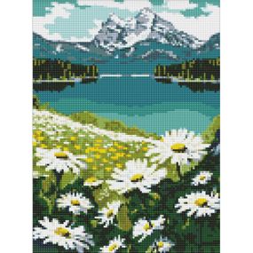 Алмазна мозаїка "Квітучі ромашки" ©art_selena_ua AMO7803, 30х40см