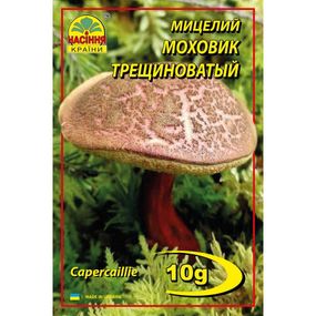 Моховик тріщинуватий (строкатий) - 10 г