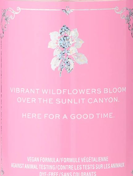 Міст для тіла Victoria's Secret Let's Go Girls (250 ml) | Зображення 1