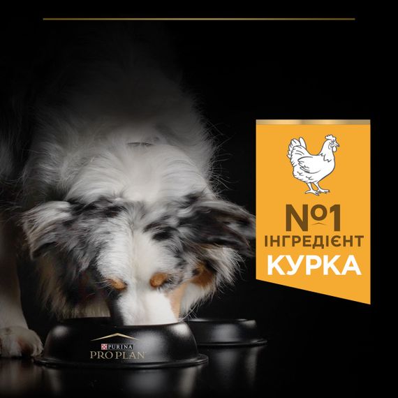 Сухой корм для собак средних пород с курицей Purina Pro Plan Dog Adult Medium Everyday Nutrition 3 кг | Зображення 3