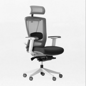 Кресло офисное ERGO CHAIR 2 BlackWhite