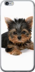 Чехол на iPhone 6s Plus Щенок йоркширского терьера "931u-91-17620"