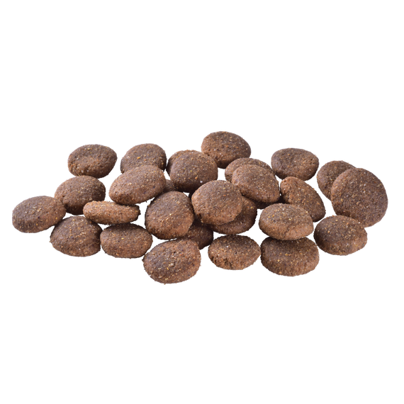 Корм сухий Brit Care Dog Grain-free Adult Large Breed для дорослих собак великих порід беззерновий з лососем 3 кг | Зображення 1