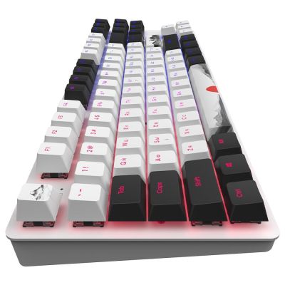 Клавиатура Dark Project One 87 Fuji ABS RGB Mech G3ms Sapphire USB Black/White (DPO87_GSH_Fuji_ANSI_UA) | Зображення 4