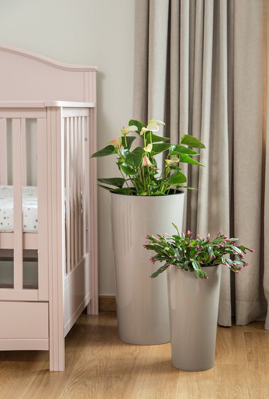 Вазон Lamela LILIA 295х571 мм, кремовий | Зображення 2