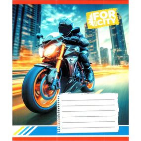 Тетрадь ученическая "Ночным городом" 018-530032K-4 в клеточку, 18 листов (959053)