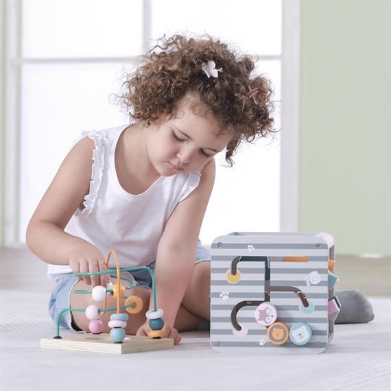Бізікуб дерев'яний Viga Toys PolarB 5 в 1 (44030)