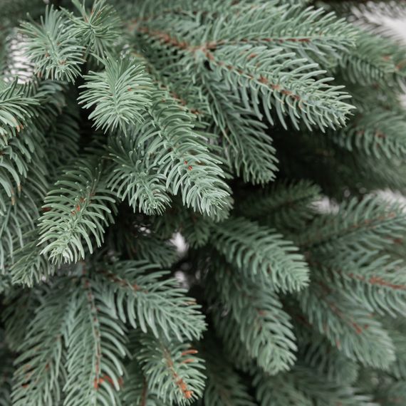 Лита штучна ялинка 1,5 м блакитна Шепетовська Преміум KOS-SHPBL15 | Зображення 3