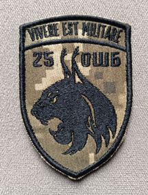 Шеврон 25 ОШБ Пиксель