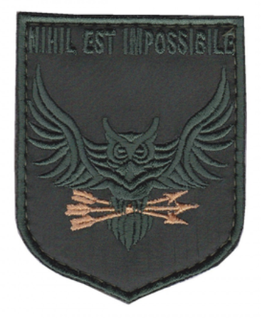Шеврон 130 окремий розвідувальний батальйон