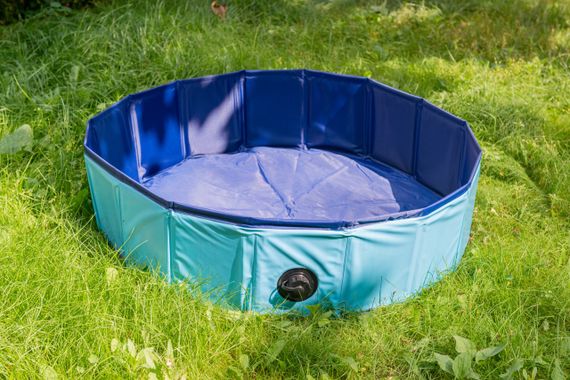 Басейн для собак Papillon Dog Swimming Pool, 120 см х 30 см | Зображення 2