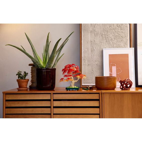 Конструктор LEGO Botanicals Бонсай з японського червоного клена (10348) | Зображення 9