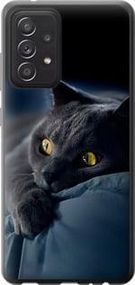 Чохол на Samsung Galaxy A52s 5G A528B Димчастий кіт із пластику FCh_047325