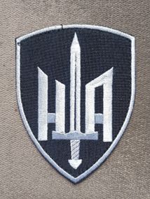 Шеврон НАЦІОНАЛЬНИЙ АЛЬЯНС