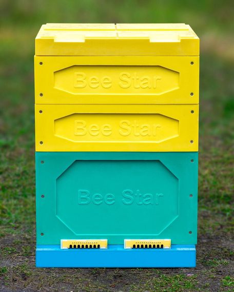 Улей ППУ «BeeStar» (1 корпус Дадан + 2 магазина на 12 рамок) — цветной | Зображення 2
