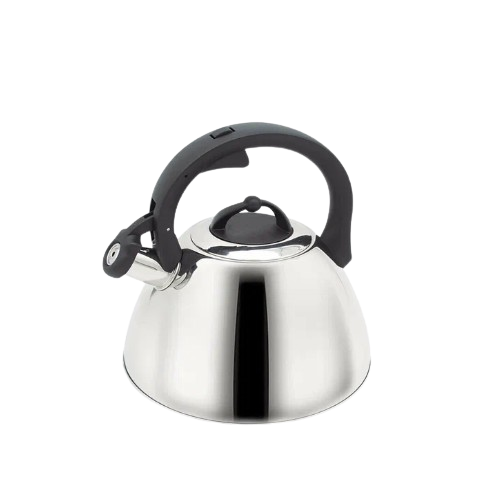 Чайник 2,5л металевий MR-1335 Maestro