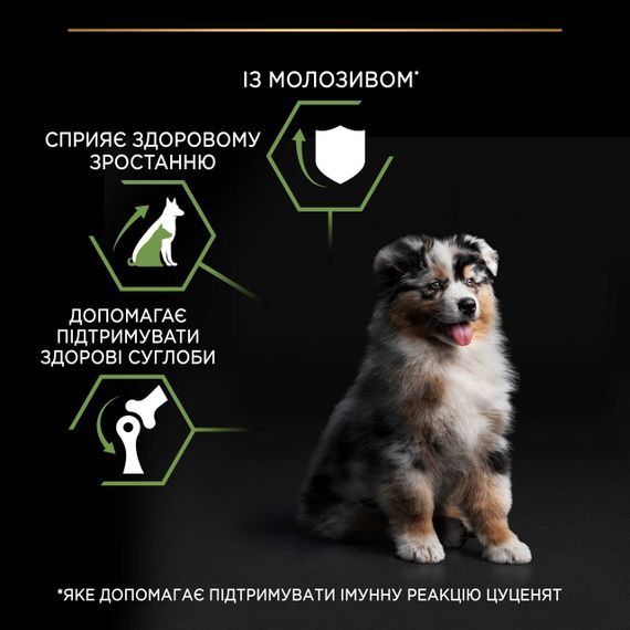 Сухой корм для щенков средних пород с курицей Purina Pro Plan Puppy Medium Healthy Start 12 кг | Зображення 4