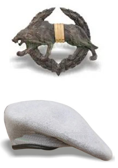 Берет + кокарда "Сили спеціальних операцій" ССО