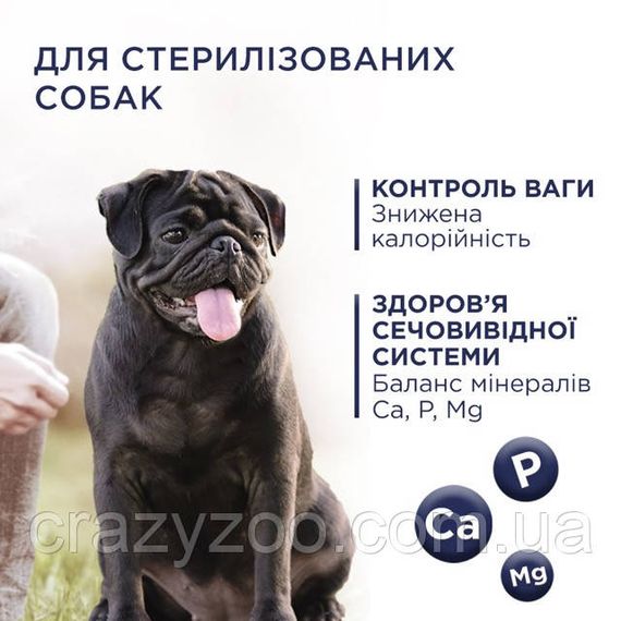 Сухий корм для собак дрібних порід Club 4 Paws контроль ваги з індичкою 5 кг B4571201 | Зображення 1