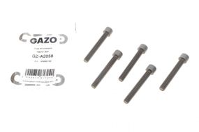 Болт кріплення форсунки VW Crafter 2.5 TDI 06-13 к-кт 4шт  GZ-A2058