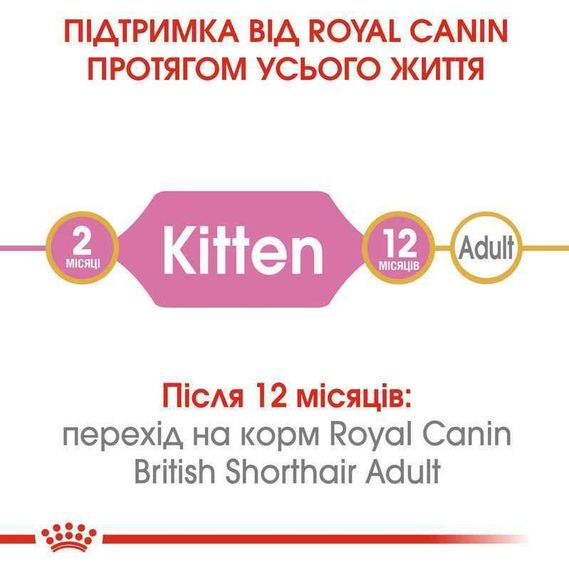 Сухой корм Royal Canin British Shorthair Kitten для котят породы Британская короткошерстная, 400 г | Зображення 4