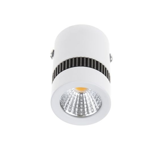 Светильник потолочный LED накладной LED-217/5W WW WH