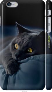 Чохол на iPhone 6s Plus Димчастий кіт "825m-91-2448"