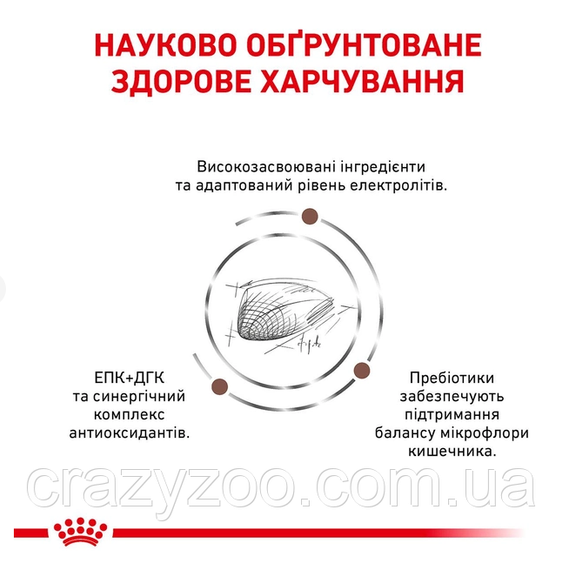 Сухий корм для котів Royal Canin Gastro Intestinal 2 кг 39050201 | Зображення 3