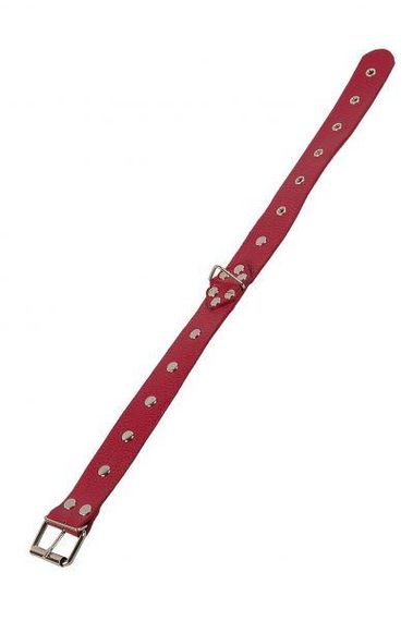 Ошейник Leather Restraints Collar Red Sex Aura | Зображення 3