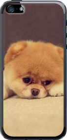 Чехол на iPhone 5s Boo 2 "890u-21-17620"